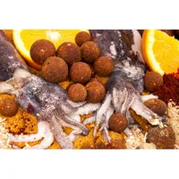 THE ULTIMATE Boilie Tangy Squid (1kg) (3)