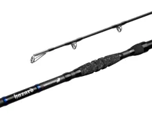 DELPHIN Sumcový prút HAZARD Darx 500g, 3.10m (2diel)