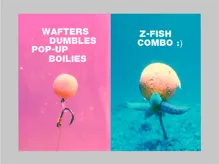 ZFISH Tŕň Bait Spike Silicone Holder, 10ks (4)